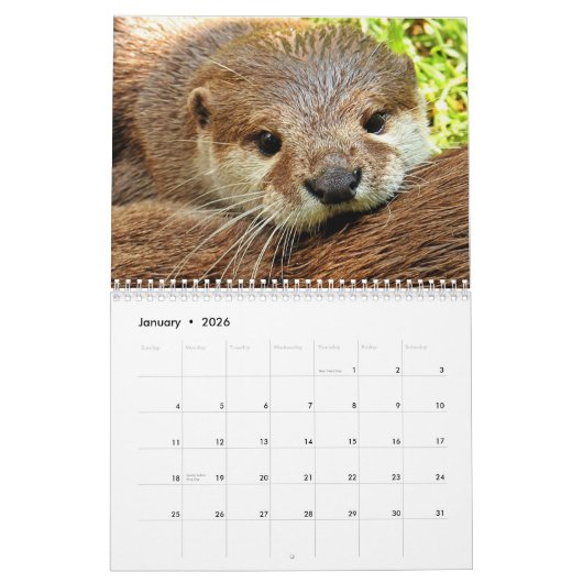Schattig Zee Otters 2025 Kalender (Jan 2026)