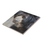 Schattig zwart Beer Tegeltje (Zijkant)