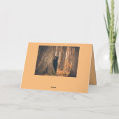 Schattig zwart Beer Vaderdag Kaart (Achterkant)