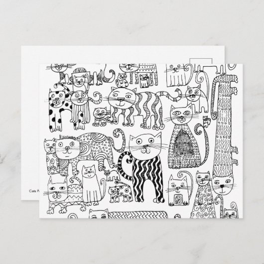 Schattig zwart en wit kattenpatroon briefkaart (Voorkant / Achterkant)