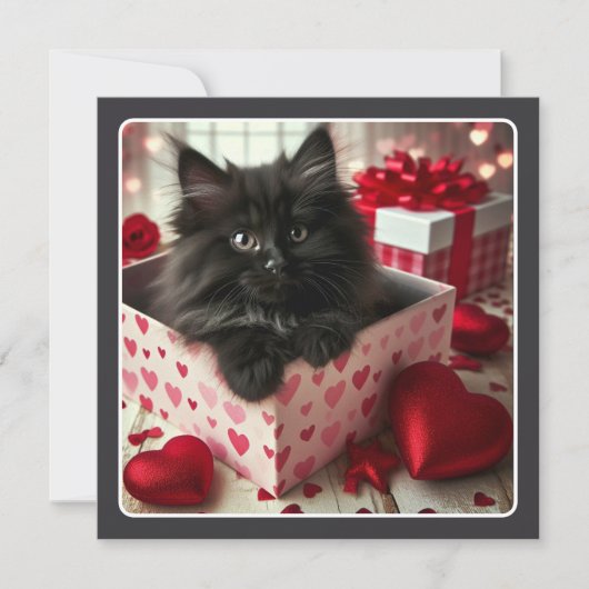 Schattig Zwart Kitten in Box Grappige Valentijn Feestdagenkaart (Voorkant)