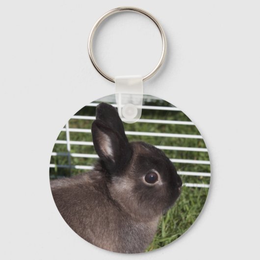 Schattig zwart konijn op groen gras sleutelhanger (Voorkant)