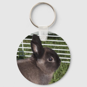 Schattig zwart konijn op groene grassen sleutelhanger