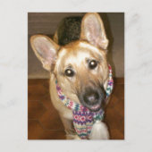 Schattig Zwart & Tan Duits Herder Briefkaart (Voorkant)