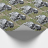 Schattig zwart-wit Engelse setter Cadeaupapier (Hoek)