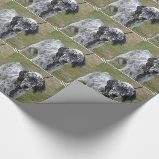 Schattig zwart-wit Engelse setter Cadeaupapier (Hoek)