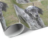 Schattig zwart-wit Engelse setter Cadeaupapier (Rol Hoek)