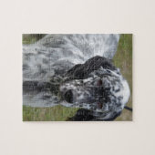 Schattig zwart-wit Engelse setter Legpuzzel (Horizontaal)