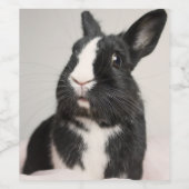 Schattig zwart-wit konijnenkonijn wijn etiket (Enkel label)