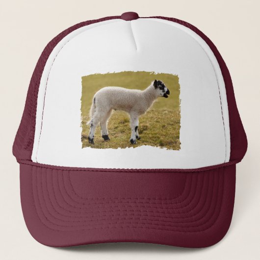 Schattig zwart wit lammetje blatend schaap trucker pet (Voorkant)