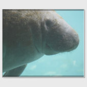 Schattig zwerven cadeaupapier (Vlak)