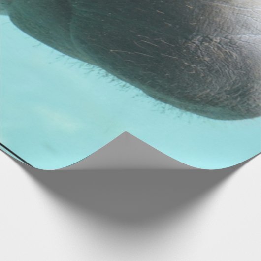 Schattig zwerven cadeaupapier (Hoek)