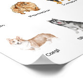 schattige 20 hondenrassen poster (Hoek)