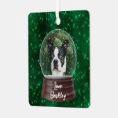 Schattige aangepaste Pet Snow Wereldbol Metalen Ornament (Voorkant links)