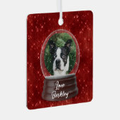 Schattige aangepaste Pet Snow Wereldbol Metalen Ornament (Voorkant Rechts)