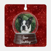Schattige aangepaste Pet Snow Wereldbol Metalen Ornament (Achterkant)