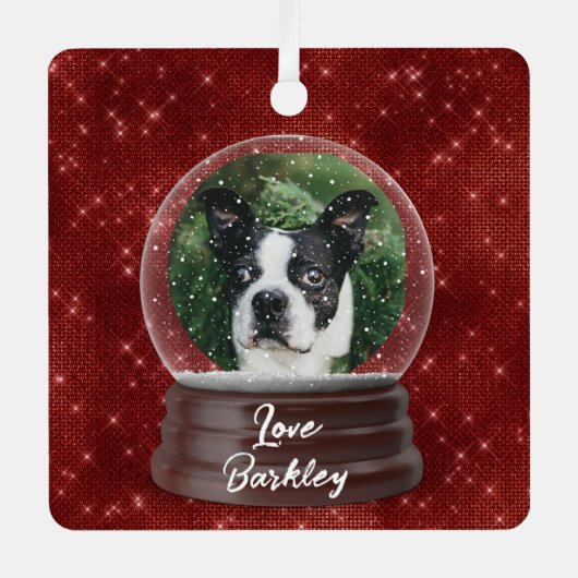 Schattige aangepaste Pet Snow Wereldbol Metalen Ornament (Voorkant)