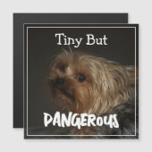 Schattige Aanpasbare Gepersonaliseerde Terrier Hon (Voorkant / Achterkant)