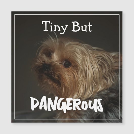 Schattige Aanpasbare Gepersonaliseerde Terrier Hon (Voorkant)