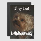 Schattige Aanpasbare Gepersonaliseerde Terrier Hon (Voorkant / Achterkant)