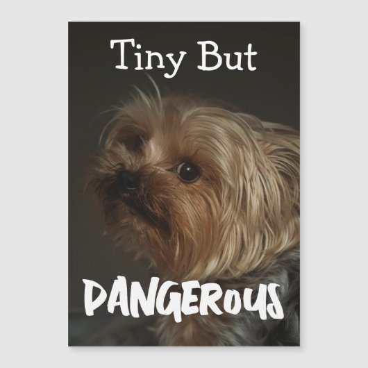 Schattige Aanpasbare Gepersonaliseerde Terrier Hon (Voorkant)