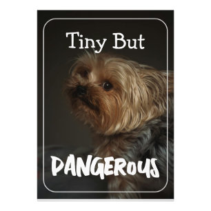 Schattige Aanpasbare Gepersonaliseerde Terrier Hon Foto Afdruk