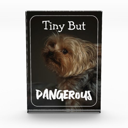 Schattige Aanpasbare Gepersonaliseerde Terrier Hon Fotoblokken (Voorkant)