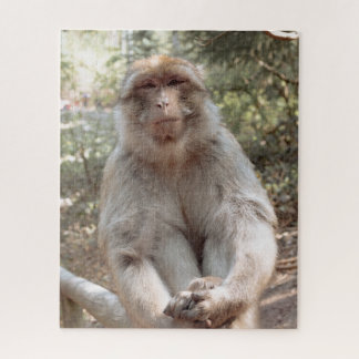 Schattige aap legpuzzel