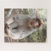 Schattige aap legpuzzel (Horizontaal)