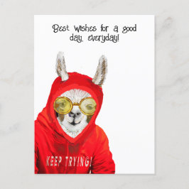 Schattige, aardige, leuke mama lama, blijf probere briefkaart