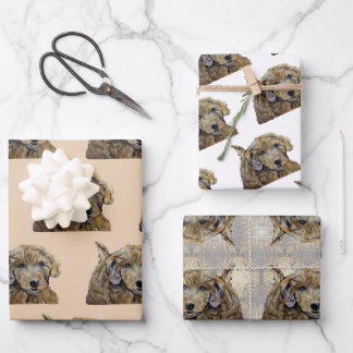 Schattige Abrikozen Goldendoedle Puppy Pastel Teke Inpakpapier Vel