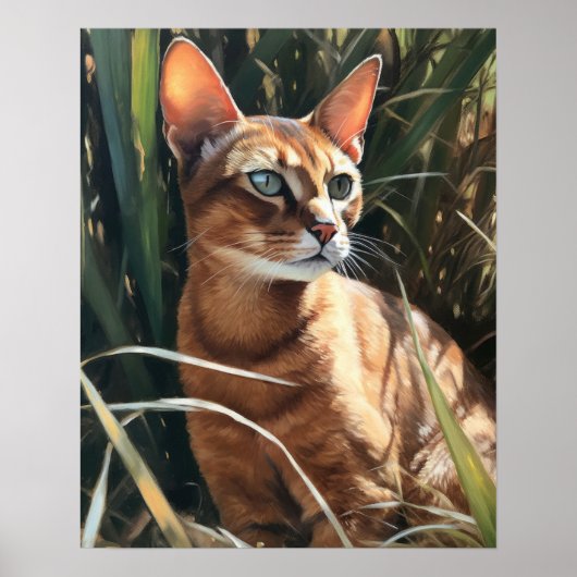Schattige Abyssinien Cat Art Print Poster (Voorkant)