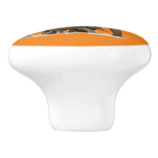 schattige Afrikaanse olifanten home decor Keramische Knop (Zijkant)