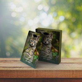 Schattige Afstuderen Kitten Pokerkaarten