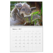 Schattige agenda Koala Beren 2016 Kalender (Feb 2017)