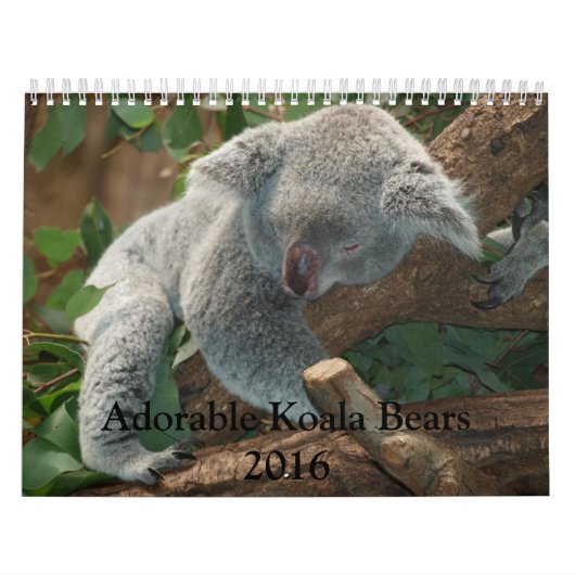 Schattige agenda Koala Beren 2016 Kalender (Hoes)