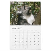 Schattige agenda Koala Beren 2016 Kalender (Jan 2027)