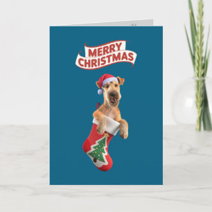 Schattige Airedale Kerstkaart Feestdagen Kaart