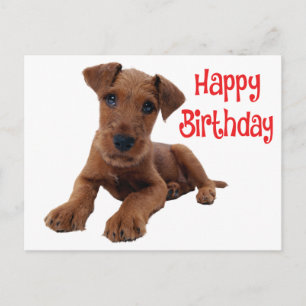 Schattige Airedale Terrier Puppies Hond Verjaardag Briefkaart