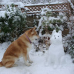 schattige akita die zit met sneeuwsneeuwhond metalen ornament<br><div class="desc">De schattige akita-hondfoto op dit originele kerstboomornament is een japanse akita die in de dikke sneeuw van december zit te kijken naar een sneeuwkita. Het echte leven schattige akita kijkt naar de sneeuw akita en wil spelen. Ik denk dat ze wil dat de akita echt is en niet een akita...</div>