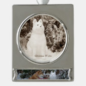 schattige akita die zit met sneeuwsneeuwhond verzilverd banner ornament (Voorkant)