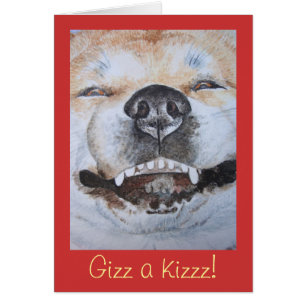 schattige akita glimlachend grappige hond