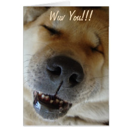 schattige akita glimlachend grappige hondenliefde