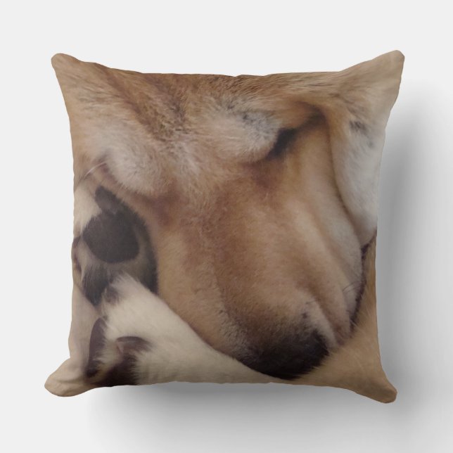 schattige akita hond slaapt knuffelende poten orig kussen (Voorkant)