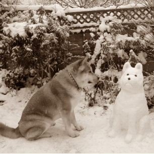 schattige akita in sneeuw met sneeuwpopfoto legpuzzel