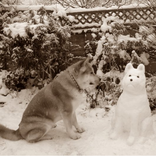 schattige akita in sneeuw met sneeuwpopfoto legpuzzel