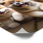 schattige Akita puppies Poster (Hoek)