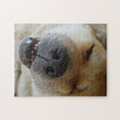 schattige akita slaapt grappig lachend afbeelding legpuzzel (Horizontaal)