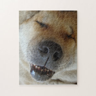 schattige akita slaapt grappig lachend afbeelding legpuzzel