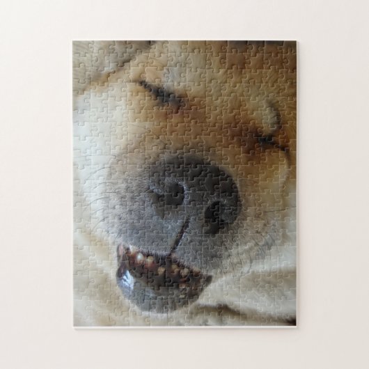 schattige akita slaapt grappig lachend afbeelding legpuzzel (Verticaal)